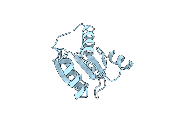 2CHF image