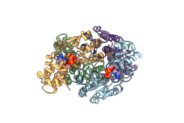 2CHG image