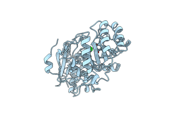 2CHR image