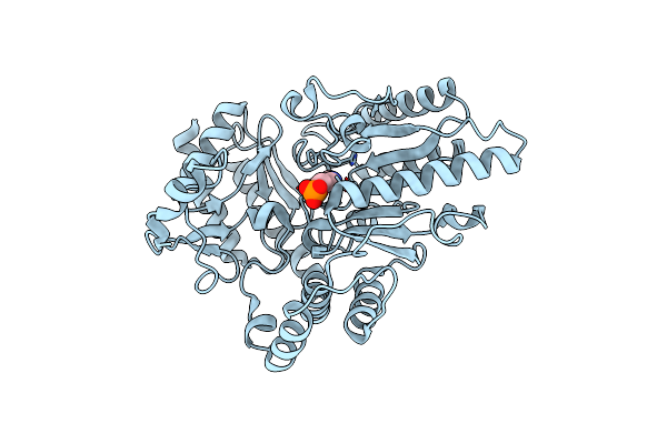 2CIN image