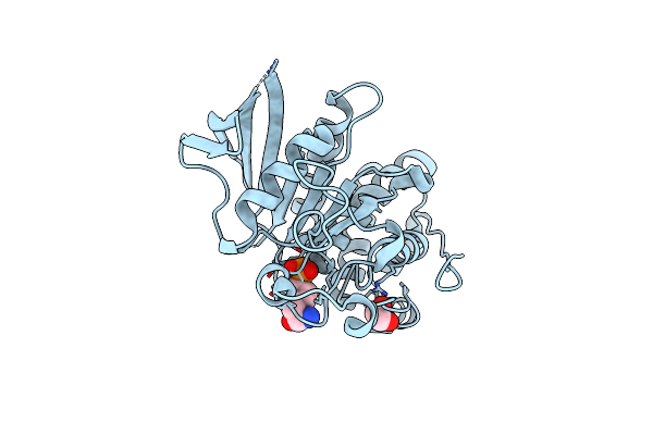 2CJZ image