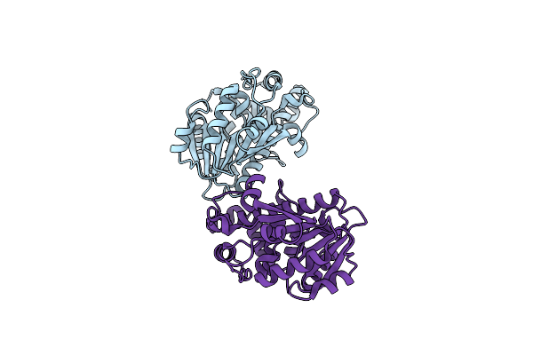 2CKD image