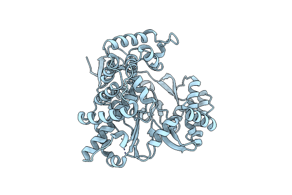 2CKW image