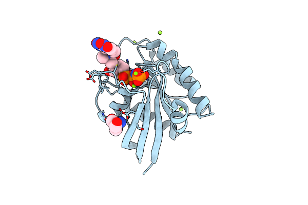 2CL0 image