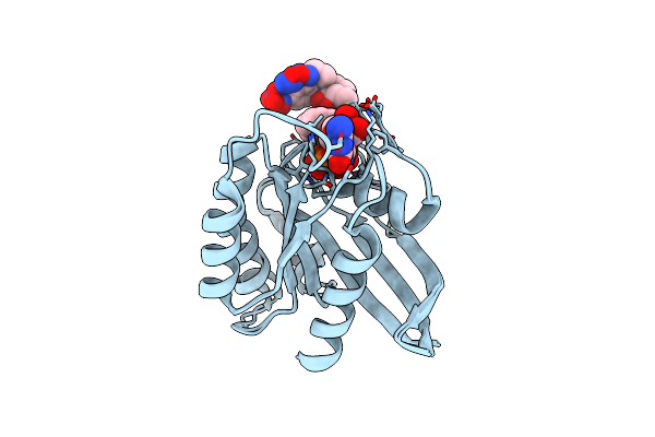 2CL6 image
