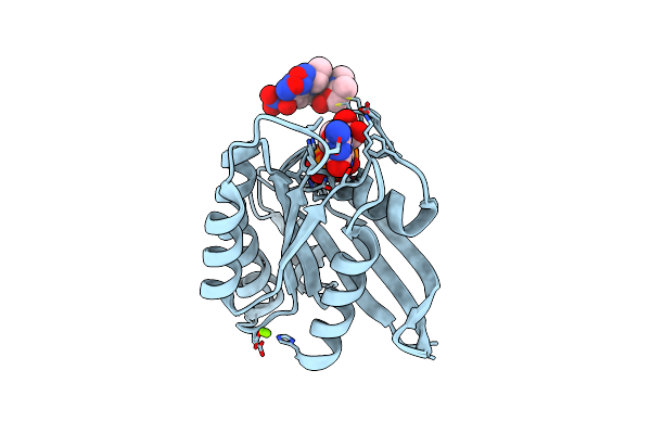 2CL7 image