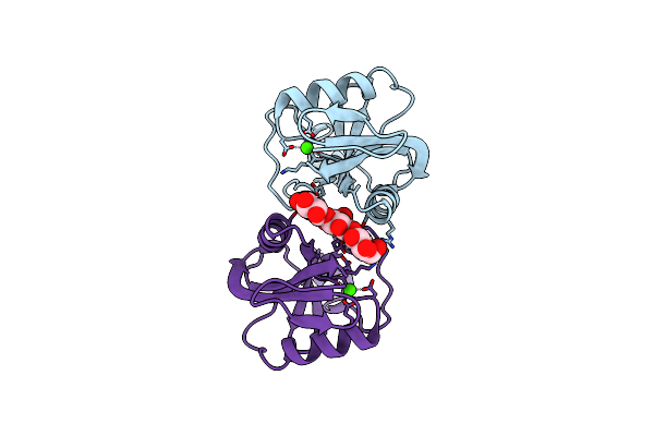 2CL8 image