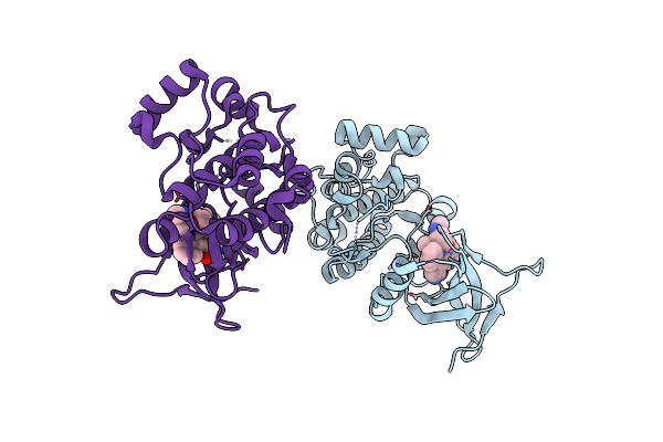 2CLQ image