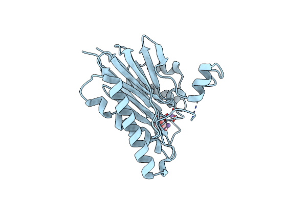 2CM1 image