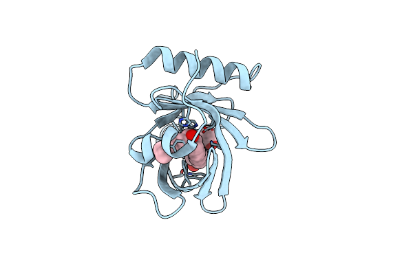 2CM4 image