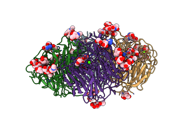 2CML image