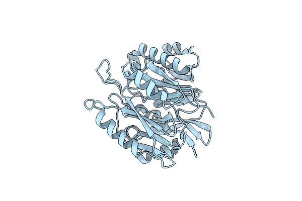 2CMU image