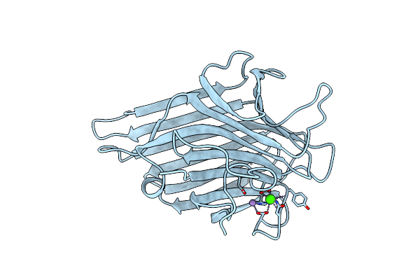 2CNA image