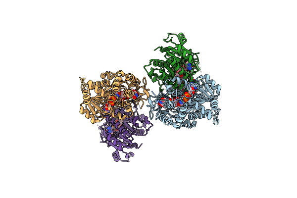 2CNB image