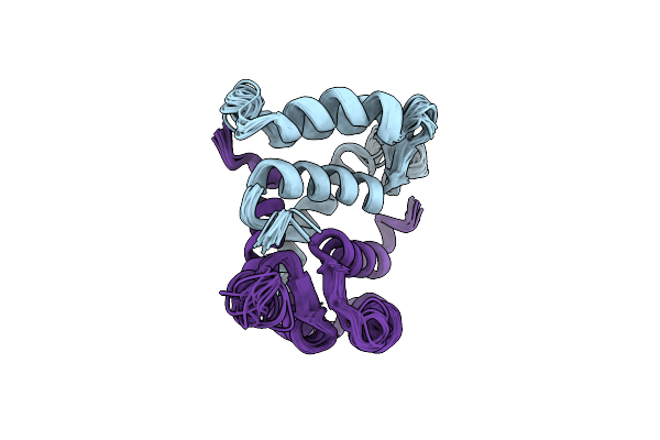 2CNP image