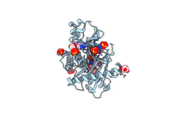 2CNQ image