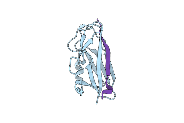 2CO2 image