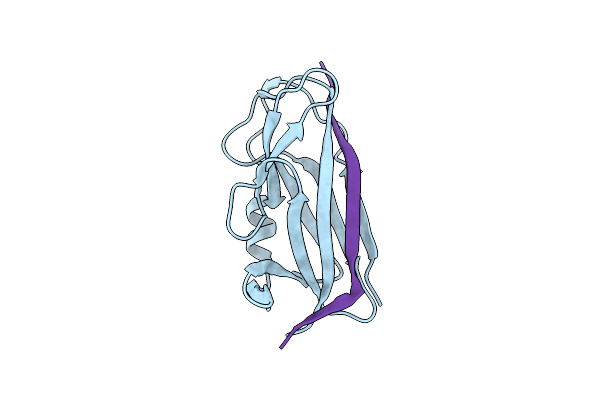 2CO4 image