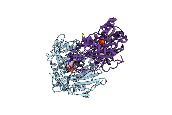 2COI image
