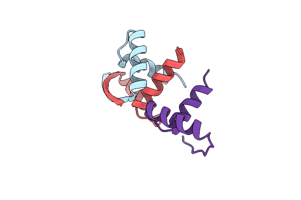 2CPG image