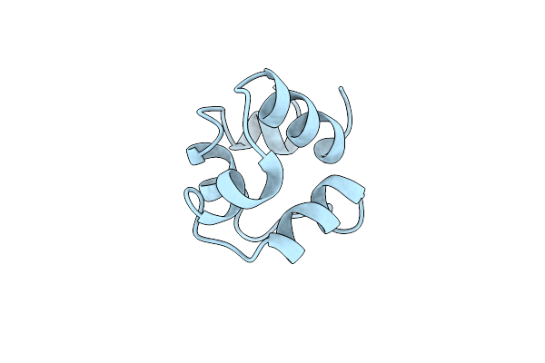 2CRO image