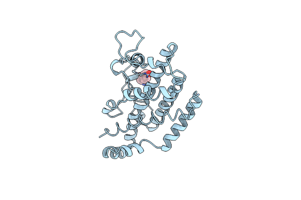 2CSM image