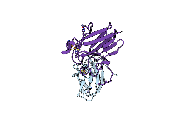 2CUA image