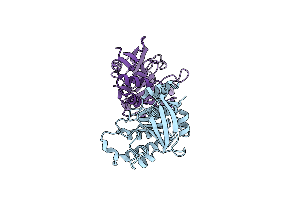 2CVH image