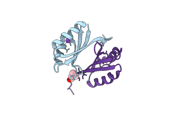2CVI image