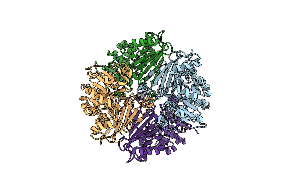 2CVO image