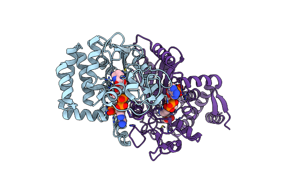 2CWH image