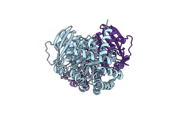 2CWX image