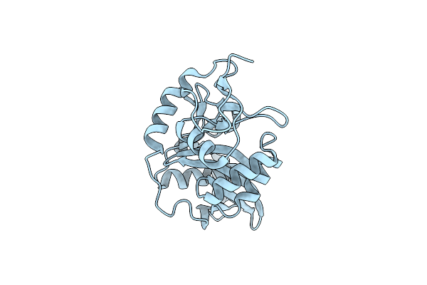 2CXA image