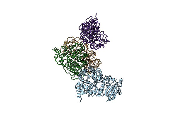 2CXE image