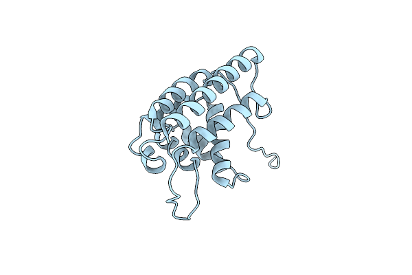 2CXF image