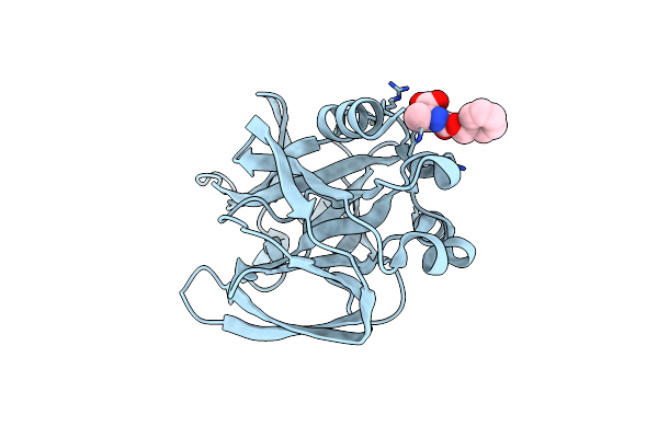 2CXV image