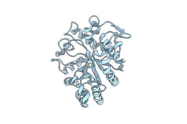 2CYG image