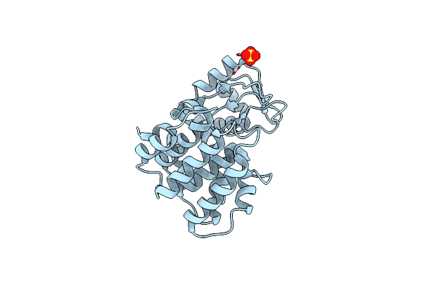 2D05 image