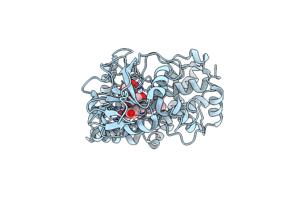 2D09 image