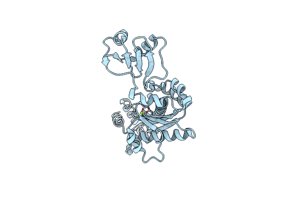 2D0B image