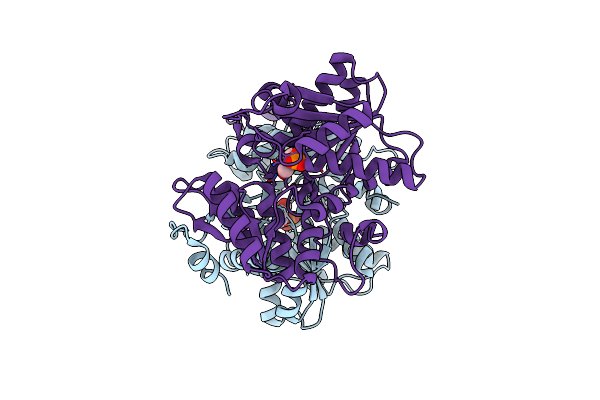 2D1F image