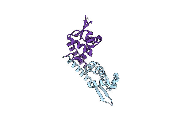 2D1H image
