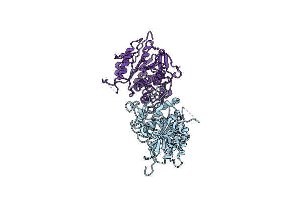 2D1I image