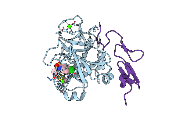 2D1J image