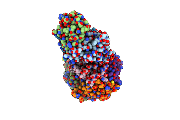 2D1P image