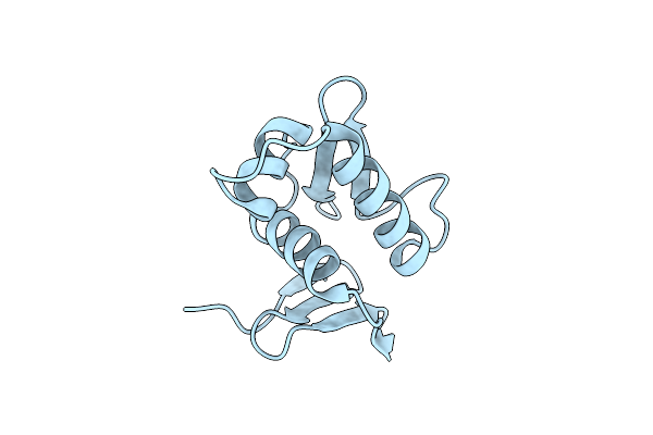2D1V image