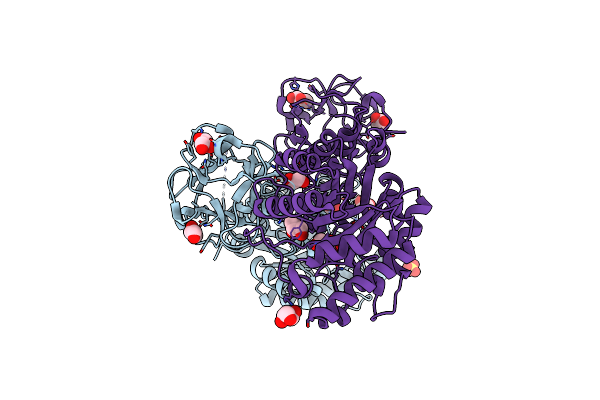 2D1Z image