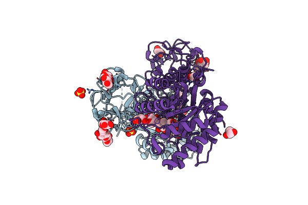 2D24 image