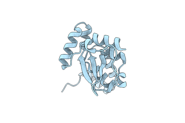 2D27 image