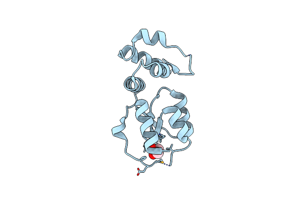 2D28 image